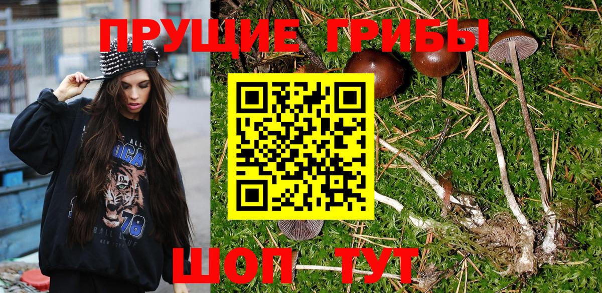 Коломна  закладка  Вход с VPN  Псилоцибиновые грибы MAGIC MUSHROOMS 